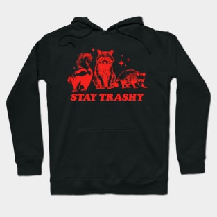 Funny Stay Trashy Raccoons Opossums Possums Hoodie